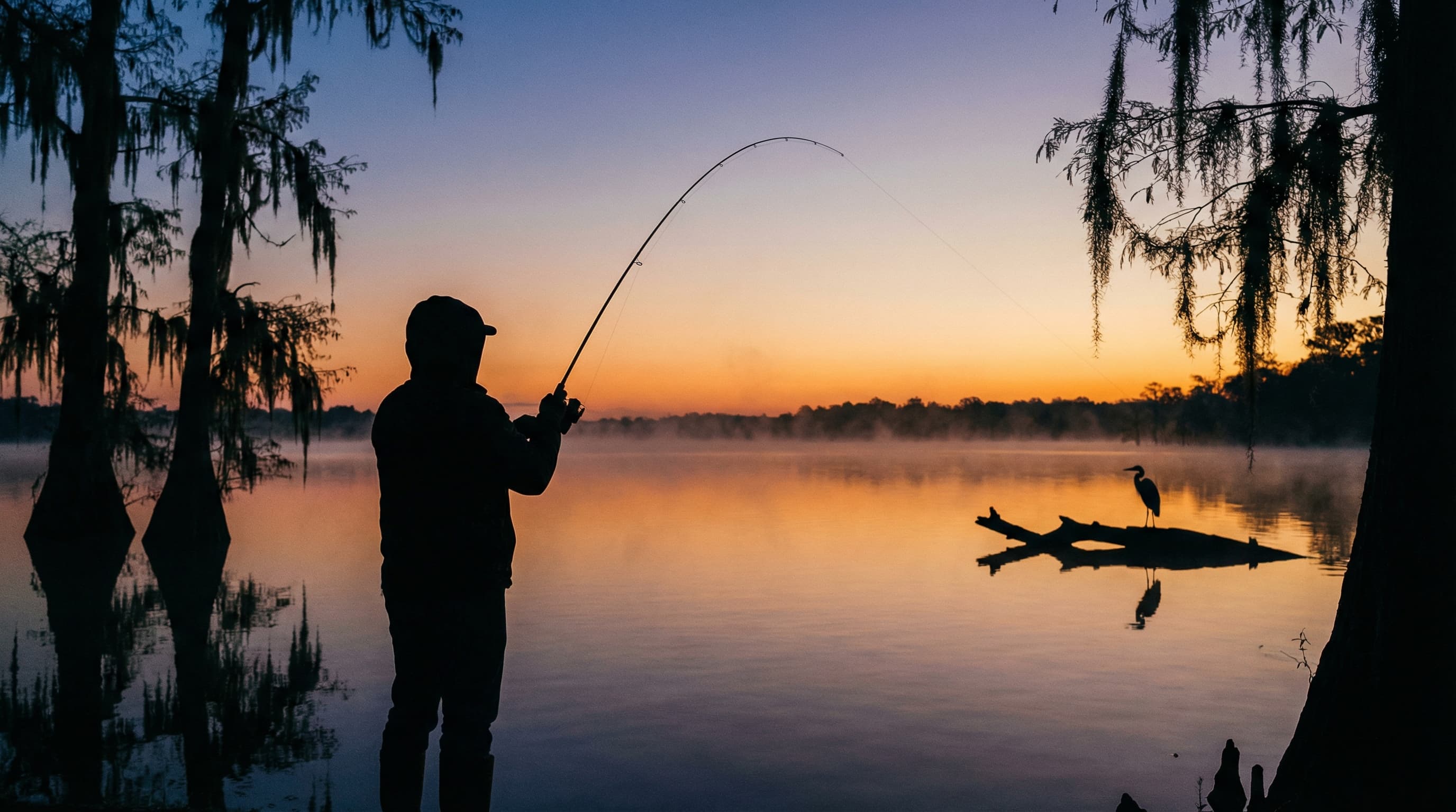 Angler fishing at dawn on a misty Texas lake framed by cypress trees