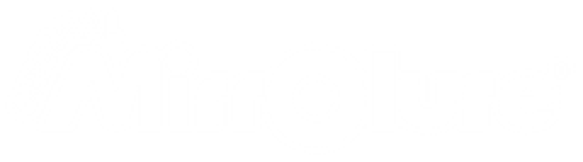 L&S Bait Company logo